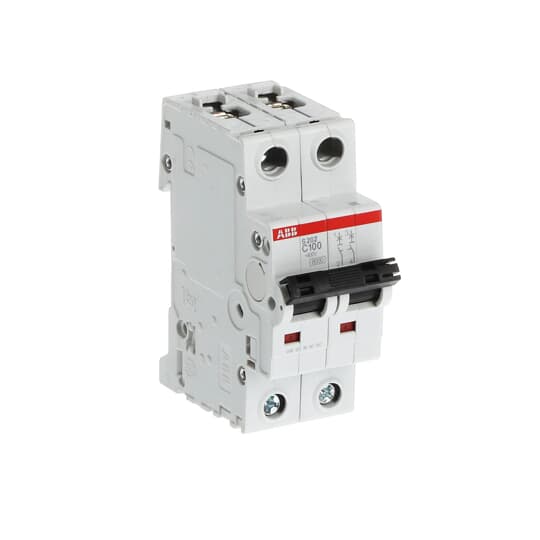 S202-C 100   Mini Circuit Breaker 2CDS252001R0824